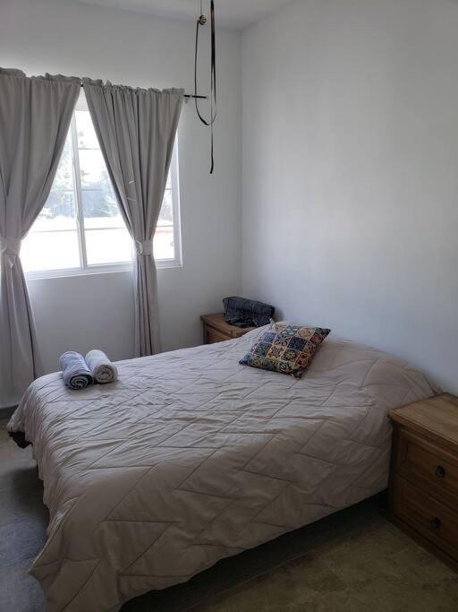 Petit Y Comodo Loft En La Ciudad. モンテレー エクステリア 写真